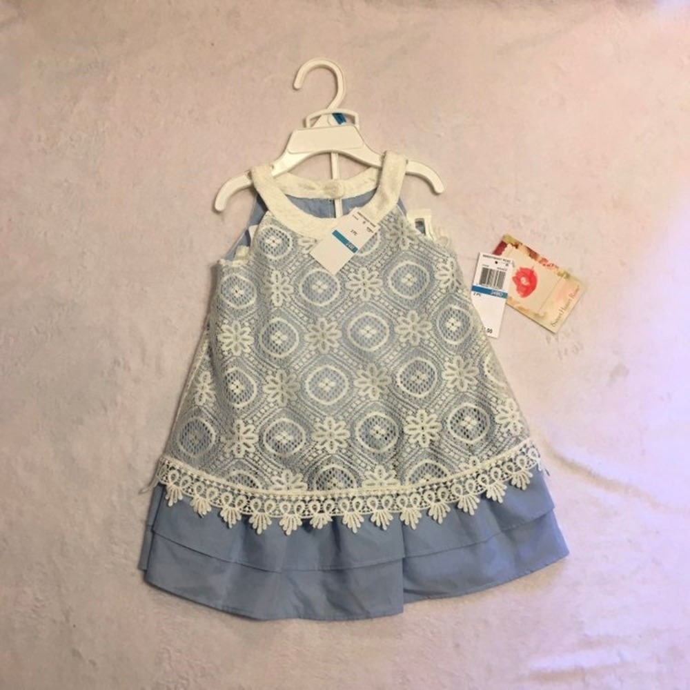 New sweet rose baby girls dress 24m